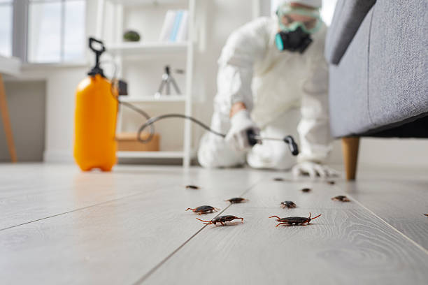 Trusted Cockroach Control service in Seven Hills, OH - Nex Pest Control