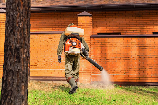 Trusted Bed Bug Control service in Seven Hills, OH - Nex Pest Control